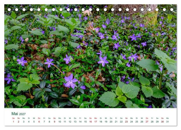Produktbild: Feldaisttal bei Pregarten (Tischkalender 2027 DIN A5 quer), CALVENDO Monatskalender