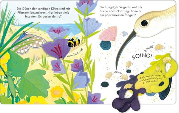 Produktbild: Guck mal, wer da ist! An der K&uuml;ste