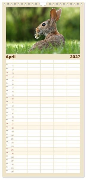 Produktbild: Familienplaner 2027 - Hasen - Die niedlichen Hoppeltiere. mit 5 Spalten (Wandkalender, 21 x 45 cm) CALVENDO