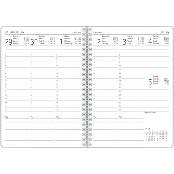 Produktbild: Ladytimer Ringbuch Oriental 2026 - Taschen-Kalender A5 (15x21 cm) - Schüler-Kalender - Weekly - Ringbindung - 128 Seiten - Alpha Edition