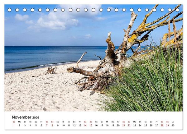 Produktbild: Fischland-Dar&szlig;-Zingst - Traumhafte Ostseelandschaften (Tischkalender 2026 DIN A5 quer), CALVENDO Monatskalender