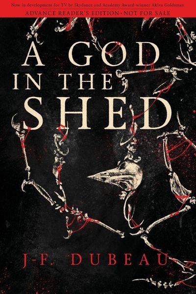 Produktbild: A God in the Shed