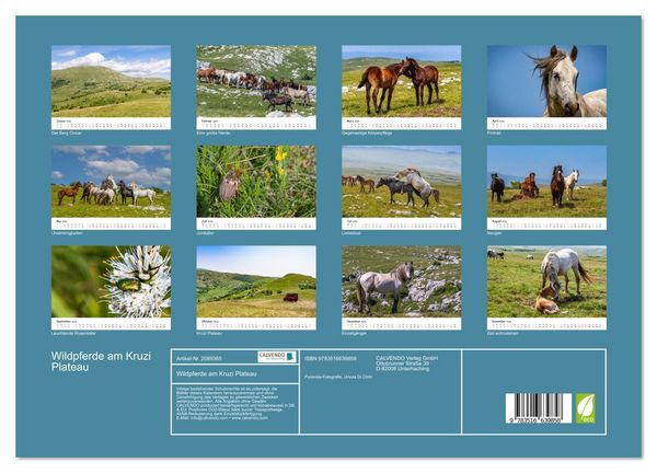 Produktbild: Wildpferde am Kruzi Plateau (Wandkalender 2026 DIN A3 quer), CALVENDO Monatskalender