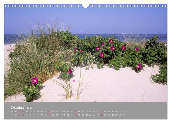 Produktbild: Blick auf die Nord-und Ostsee (Wandkalender 2026 DIN A3 quer), CALVENDO Monatskalender