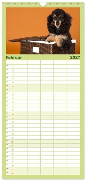 Produktbild: Familienplaner 2027 - Pudel mit 5 Spalten (Wandkalender, 21 x 45 cm) CALVENDO