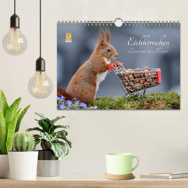 Produktbild: Eichh&ouml;rnchen Luna und ihre Kinder (Wandkalender 2026 DIN A4 quer), CALVENDO Monatskalender