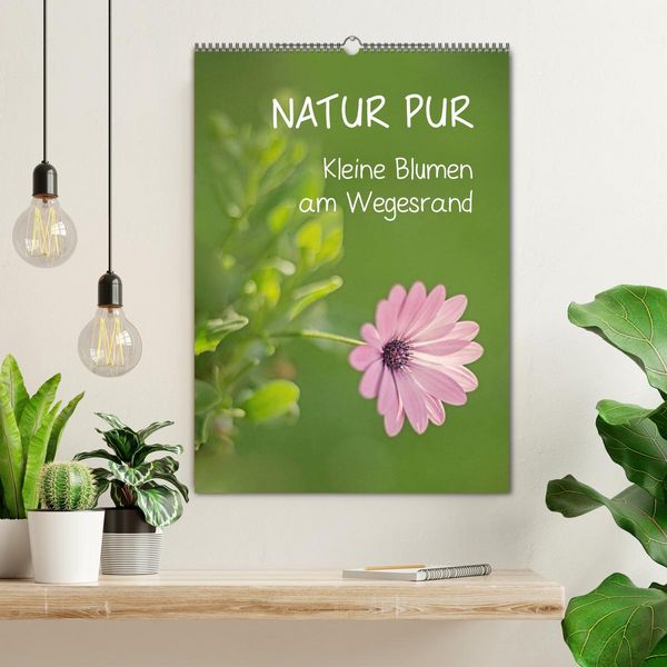 Produktbild: NATUR PUR Kleine Blumen am Wegesrand (Wandkalender 2026 DIN A2 hoch), CALVENDO Monatskalender