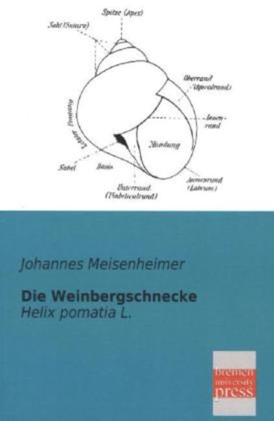 Die Weinbergschnecke