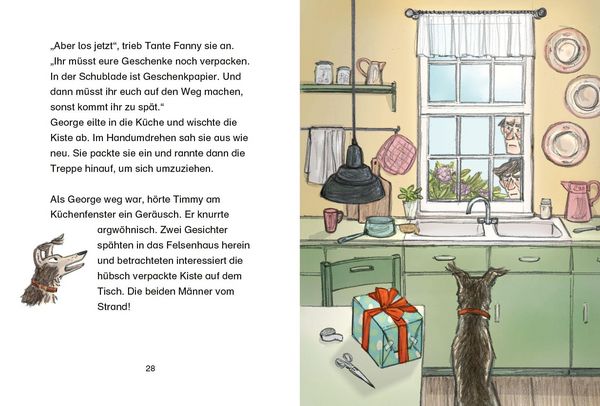 Produktbild: F&uuml;nf Freunde JUNIOR - Das Geburtstags-Abenteuer