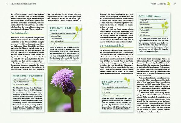 Produktbild: Geheimnisse der Unkr&auml;uter