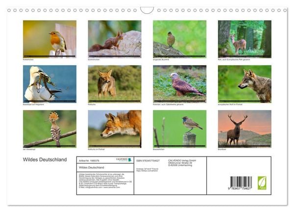 Produktbild: Wildes Deutschland (Wandkalender 2026 DIN A3 quer), CALVENDO Monatskalender