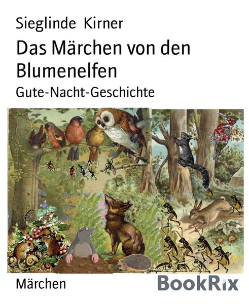 Produktbild: Das M&auml;rchen von den Blumenelfen