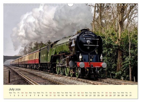 Produktbild: Steam Landscape (Wall Calendar 2026 DIN A3 landscape), CALVENDO 12 Month Wall Calendar