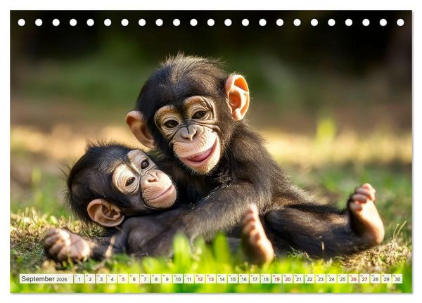 Produktbild: TIERKINDER Abenteuer Wildnis (Tischkalender 2026 DIN A5 quer), CALVENDO Monatskalender