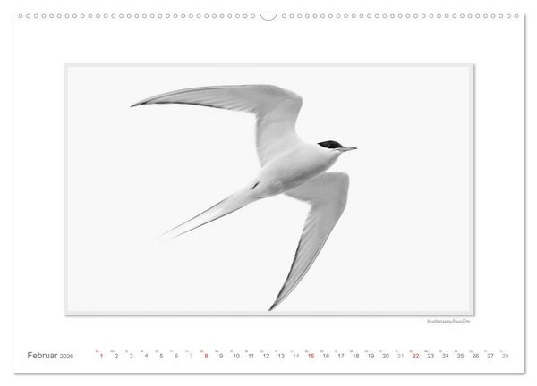 Produktbild: Spitzbergen Svalbard (Wandkalender 2026 DIN A2 quer), CALVENDO Monatskalender
