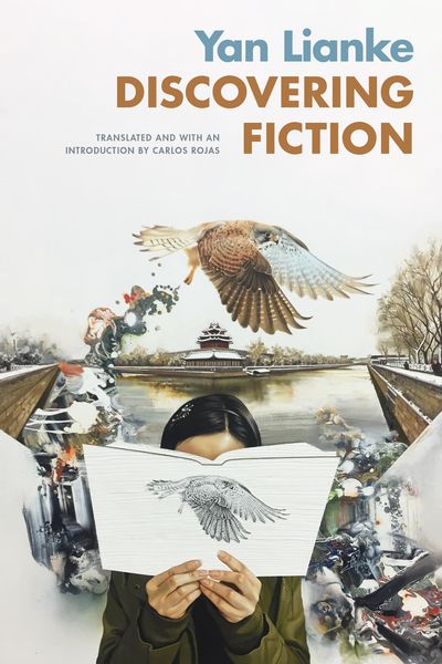 Produktbild: Discovering Fiction