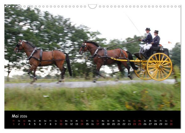 Produktbild: CIAT - Historischer Fahrsport in Celle (Wandkalender 2026 DIN A3 quer), CALVENDO Monatskalender