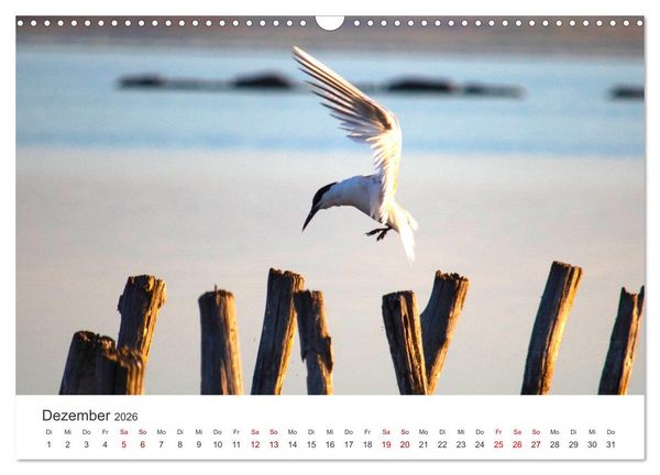 Produktbild: Bulgarien - Eine Reise zum Schwarzen Meer. (Wandkalender 2026 DIN A3 quer), CALVENDO Monatskalender