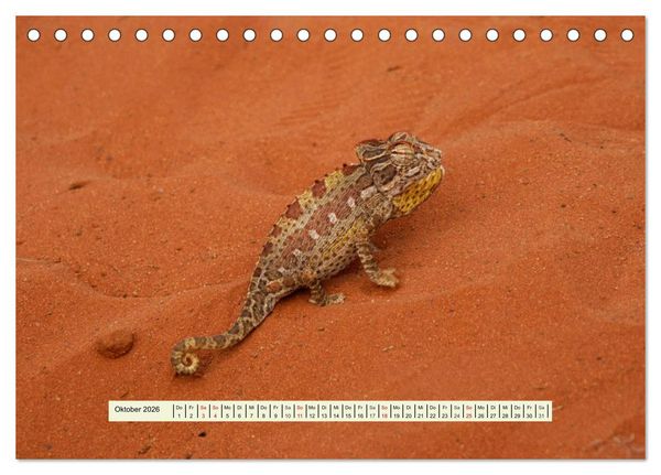 Produktbild: Reptilien des s&uuml;dlichen Afrikas (Tischkalender 2026 DIN A5 quer), CALVENDO Monatskalender