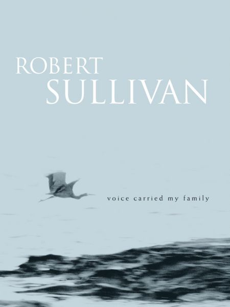 Produktbild: Voice Carried My Family