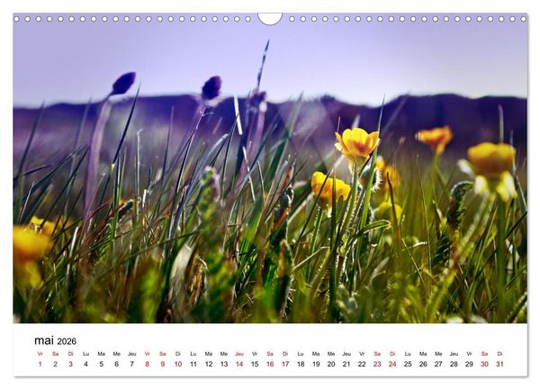 Produktbild: Dunes et mer - Une exp&eacute;rience nature (Calendrier mural 2026 DIN A3 vertical), CALVENDO calendrier mensuel