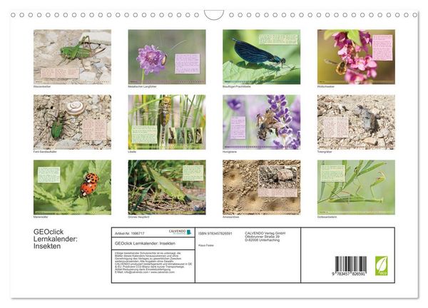 Produktbild: GEOclick Lernkalender: Insekten (Wandkalender 2026 DIN A3 quer), CALVENDO Monatskalender