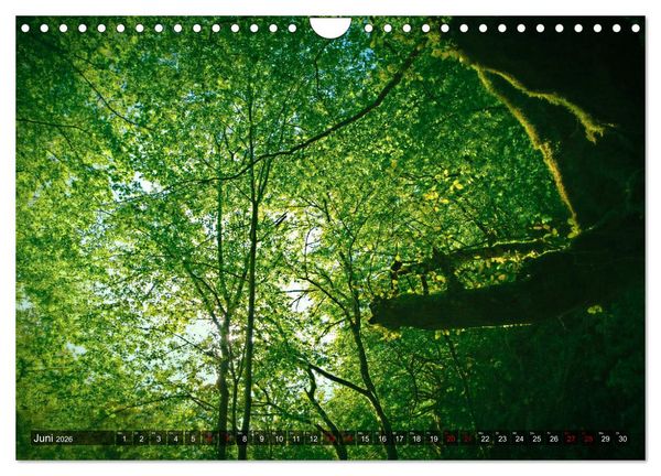 Produktbild: Slowenien - Soca Tal (Wandkalender 2026 DIN A4 quer), CALVENDO Monatskalender