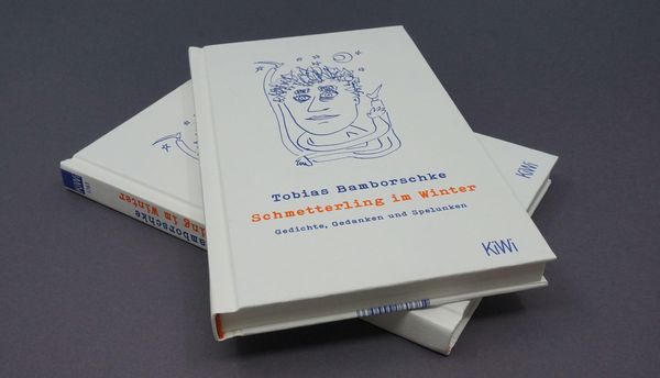 Produktbild: Schmetterling im Winter