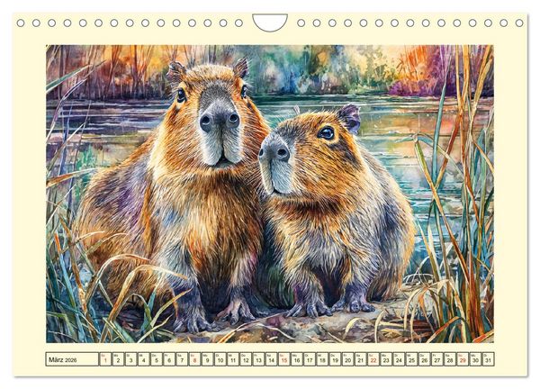 Produktbild: Wasserschweine. Bezaubernde Capybaras in der Natur (Wandkalender 2026 DIN A4 quer), CALVENDO Monatskalender