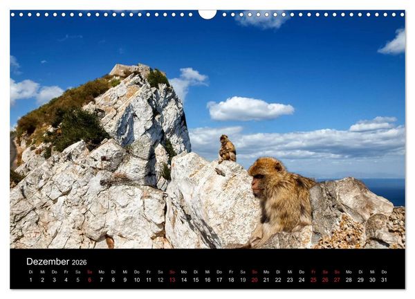 Produktbild: Gibraltar - der Affenfelsen (Wandkalender 2026 DIN A3 quer), CALVENDO Monatskalender