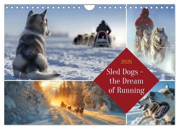 Sled Dogs - the Dream of Running (Wall Calendar 2026 DIN A4 landscape), CALVENDO 12 Month Wall Calendar