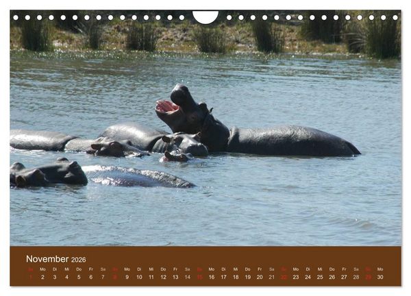 Produktbild: Namibia - faszinierende Menschen und Tiere (Wandkalender 2026 DIN A4 quer), CALVENDO Monatskalender