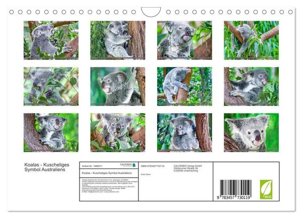 Produktbild: Koalas - Kuscheliges Symbol Australiens (Wandkalender 2026 DIN A4 quer), CALVENDO Monatskalender