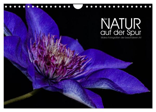Der Natur auf der Spur - Makro-Fotografien der besonderen Art (Wandkalender 2026 DIN A4 quer), CALVENDO Monatskalender
