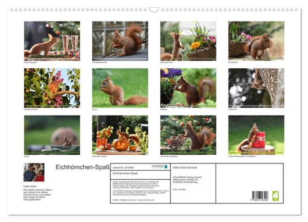 Produktbild: Eichh&ouml;rnchen-Spa&szlig; (Wandkalender 2026 DIN A2 quer), CALVENDO Monatskalender