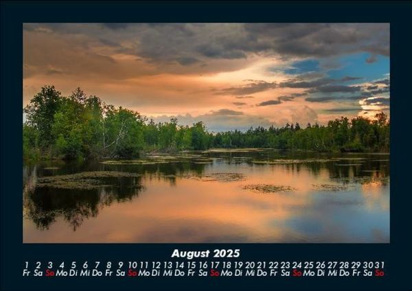 Produktbild: B&auml;ume 2025 Fotokalender DIN A5