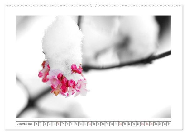 Produktbild: Natur schwarz - wei&szlig; Malerei (Wandkalender 2026 DIN A2 quer), CALVENDO Monatskalender