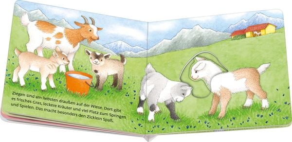 Produktbild: Wuff, wie spielt der Hund?
