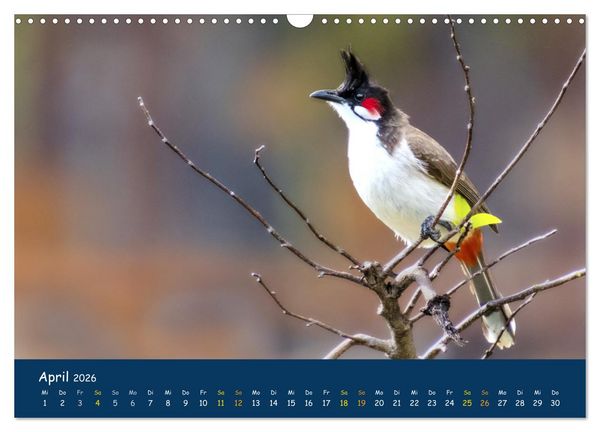 Produktbild: Faszinierende Tierwelt von Mauritius - Magische Momente der Natur (Wandkalender 2026 DIN A3 quer), CALVENDO Monatskalender
