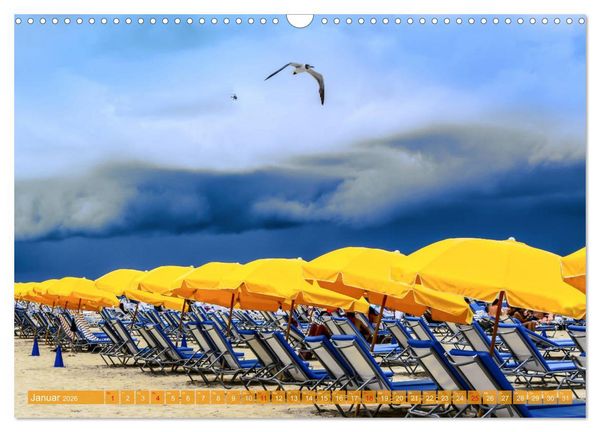 Produktbild: Florida - Sonnige Str&auml;nde und magische S&uuml;mpfe (Wandkalender 2026 DIN A3 quer), CALVENDO Monatskalender