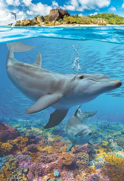 Produktbild: Kinder Puzzle 250 Teile - Dolphins