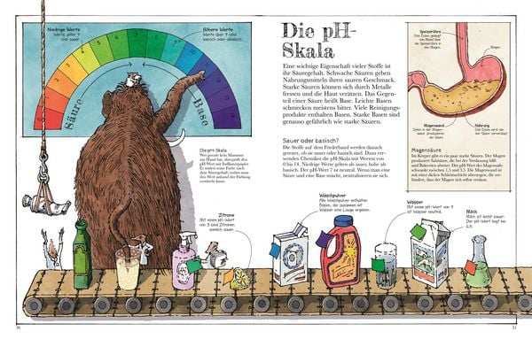 Produktbild: Das Mammut-Buch Naturwissenschaften