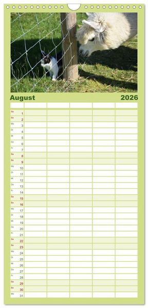 Produktbild: Familienplaner 2026 - Alpakas zum Verlieben mit 5 Spalten (Wandkalender, 21 x 45 cm) CALVENDO
