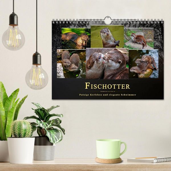 Produktbild: Fischotter - putzige Kerlchen und elegante Schwimmer (Wandkalender 2026 DIN A4 quer), CALVENDO Monatskalender