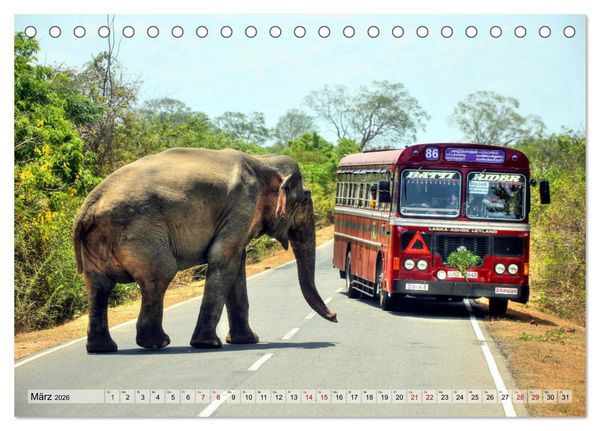 Produktbild: Sri Lanka - Tempel, Tee und Elefanten (Tischkalender 2026 DIN A5 quer), CALVENDO Monatskalender