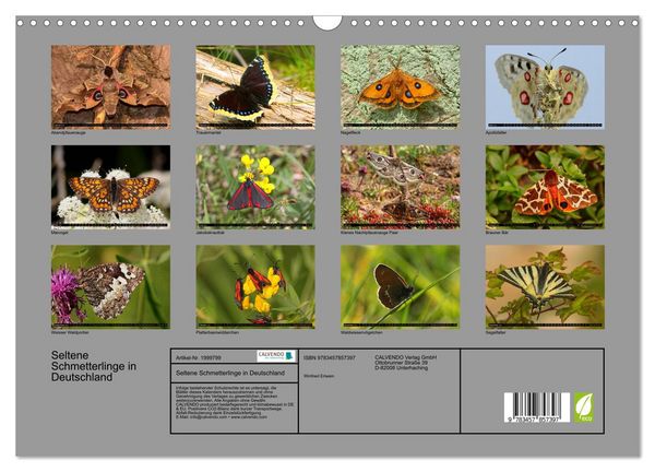 Produktbild: Seltene Schmetterlinge in Deutschland (Wandkalender 2026 DIN A3 quer), CALVENDO Monatskalender