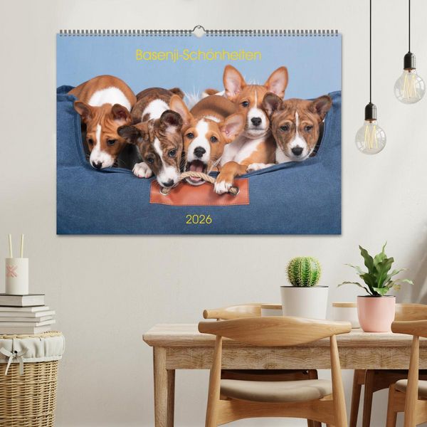 Produktbild: Basenji-Sch&ouml;nheiten (Wandkalender 2026 DIN A2 quer), CALVENDO Monatskalender