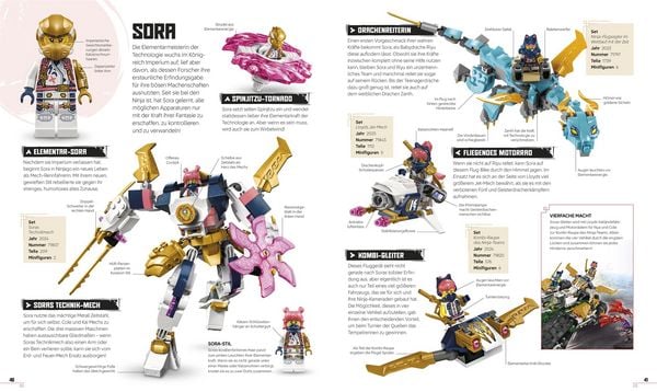 Produktbild: LEGO&reg; NINJAGO&reg; Das gro&szlig;e Ninja-Lexikon