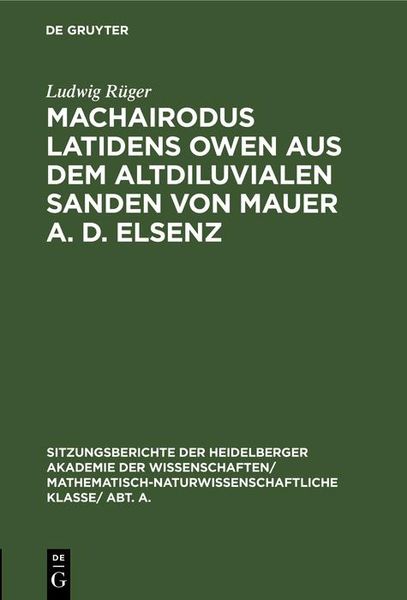 Produktbild: Machairodus latidens Owen aus dem altdiluvialen Sanden von Mauer a. d. Elsenz