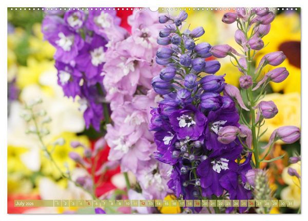Produktbild: A Flower Festival (Wall Calendar 2026 DIN A2 landscape), CALVENDO 12 Month Wall Calendar